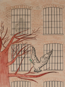 Fenster 05