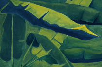 Pflanzen 04