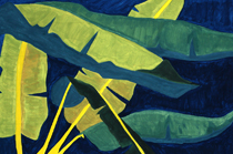 Pflanzen 07