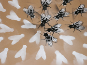 Graffito 07